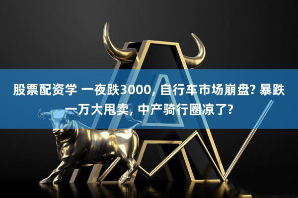 股票配资学 一夜跌3000, 自行车市场崩盘? 暴跌一万大甩卖, 中产骑行圈凉了?
