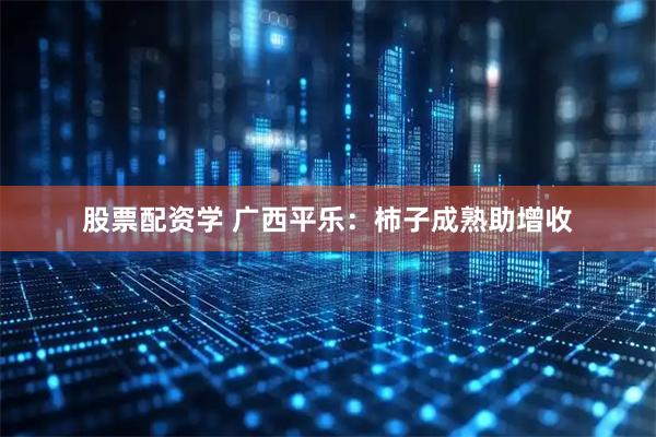 股票配资学 广西平乐：柿子成熟助增收